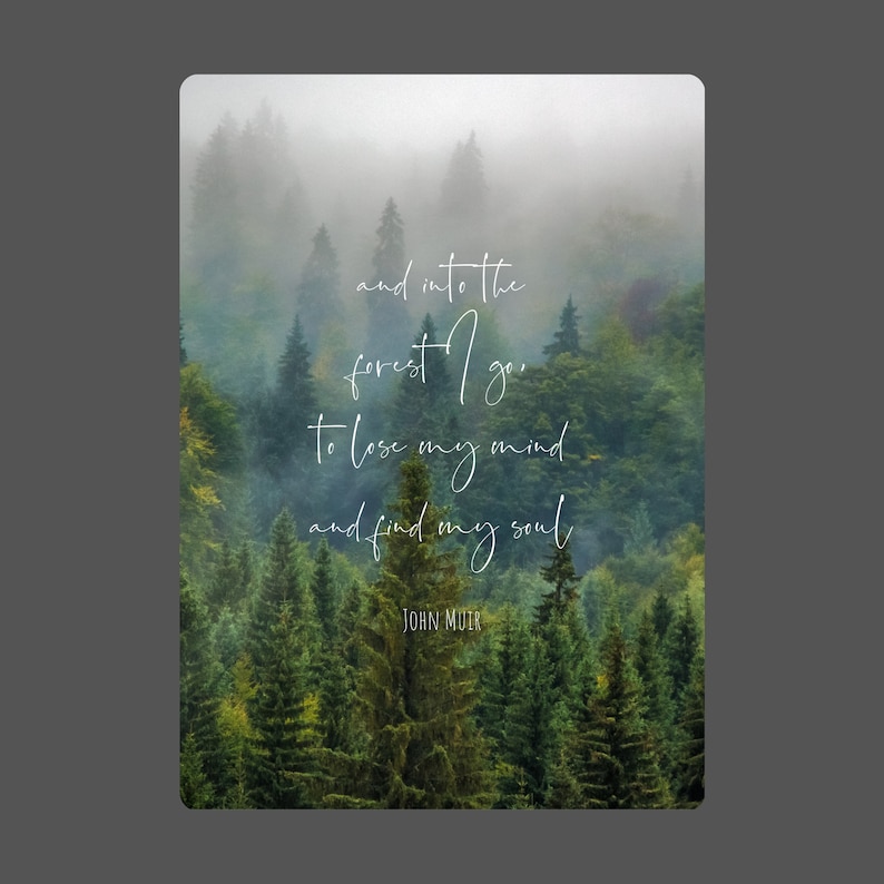 John Muir Quote And Into the Forest I Go to Lose My Mind &amp; Etsy