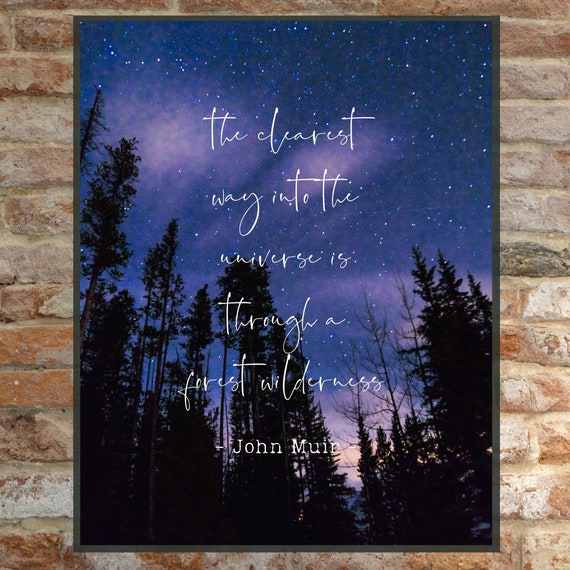 4 Styles John Muir Quote: The clearest way into the Universe is through a forest wilderness Nature Lover Art Print Tree Hugger Gift!