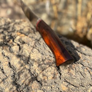 May include: Close-up of a wooden knife handle with a reddish-brown stain. The handle is smooth and has a rounded end.