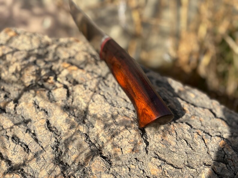May include: Close-up of a wooden knife handle with a reddish-brown stain. The handle is smooth and has a rounded end.