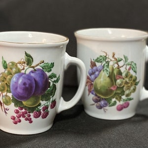 2 Gold Trim Naaman Israel Vintage Teacup / Coffee Mug Mixed Fruit Pattern Design