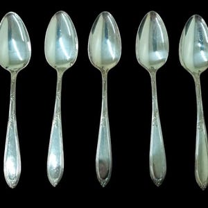 International Silver New England Silverplate Rosemary Spoons Set Of 5 Vintage