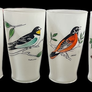 Birds Frosted Glasses Antique Oriole Robin Swallow Vintage Set of 4