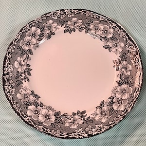 Single Vintage Enoch Wedgwood Malverne Pattern Plate