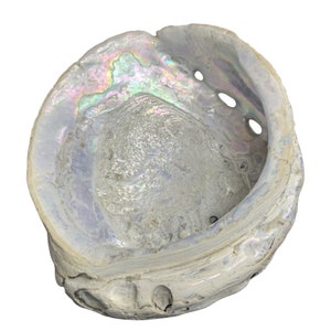 Abalone Shell Home Decor Trinket Tray 9&quot; Iridescent Large Stone