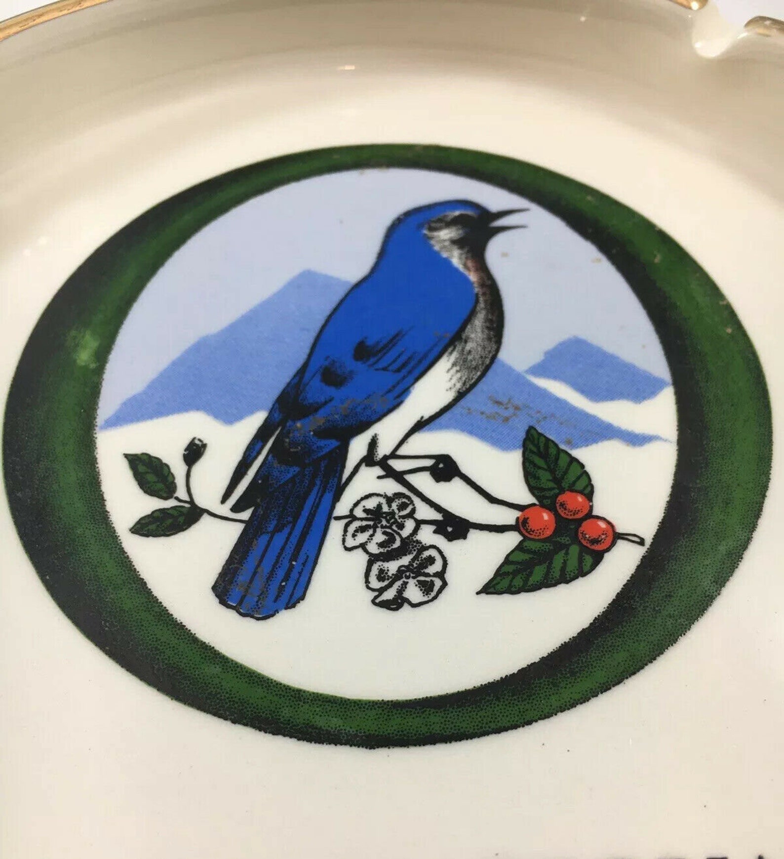 VTG Rare 6.75 ASHTRAY Ozark National Life Insurance