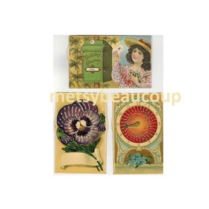 3 cartes postales antique 1900’s  mécanique Kaléidoscope calendrier erreur impression vote maison blanche Livraison Gratuite Canada USA