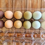 Easter Eggs