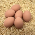Decorative Ceramic Hen Nest Eggs (brown) - 6 pack