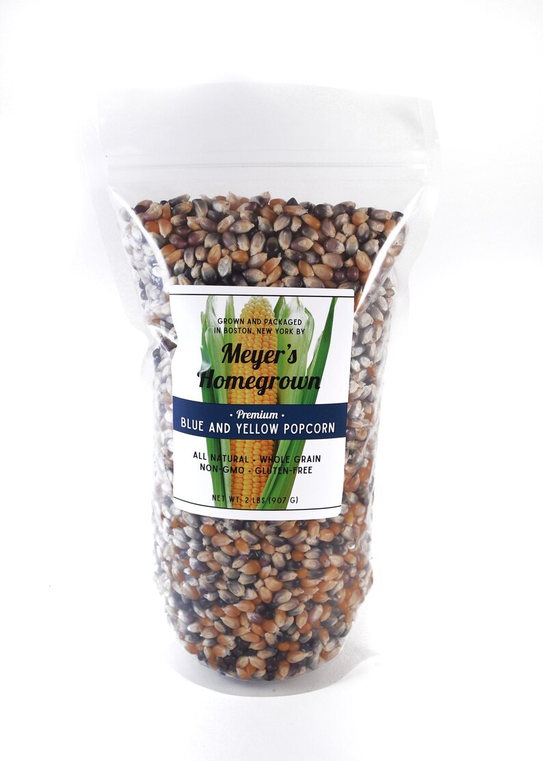 Blue and Yellow Popcorn Kernels 2lbs Etsy