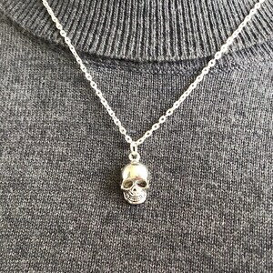 May include: A silver chain necklace with a small silver skull pendant.