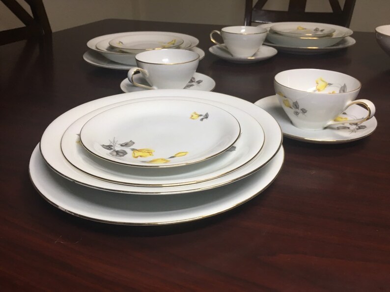 Rosenthal Thomas Germany Porcelain Fine China 50 pc Set Etsy