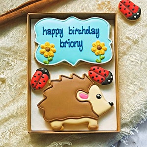 Hand-iced Personalised Hedgehog Cookie LETTERBOX GIFT/Birthdays/Get well soon