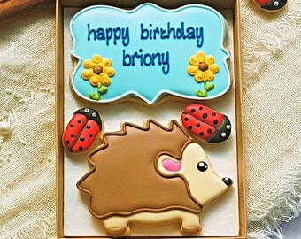 Hand-iced Personalised Hedgehog Cookie LETTERBOX GIFT/Birthdays/Get well soon