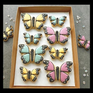 Hand-iced Butterfly Cookie LETTERBOX GIFT/Gifts for Her/Birthday Gift