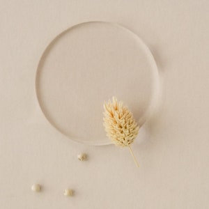 May include: A beige background with a clear circle and a dried flower in the centre. There are four small white beads scattered around the circle.