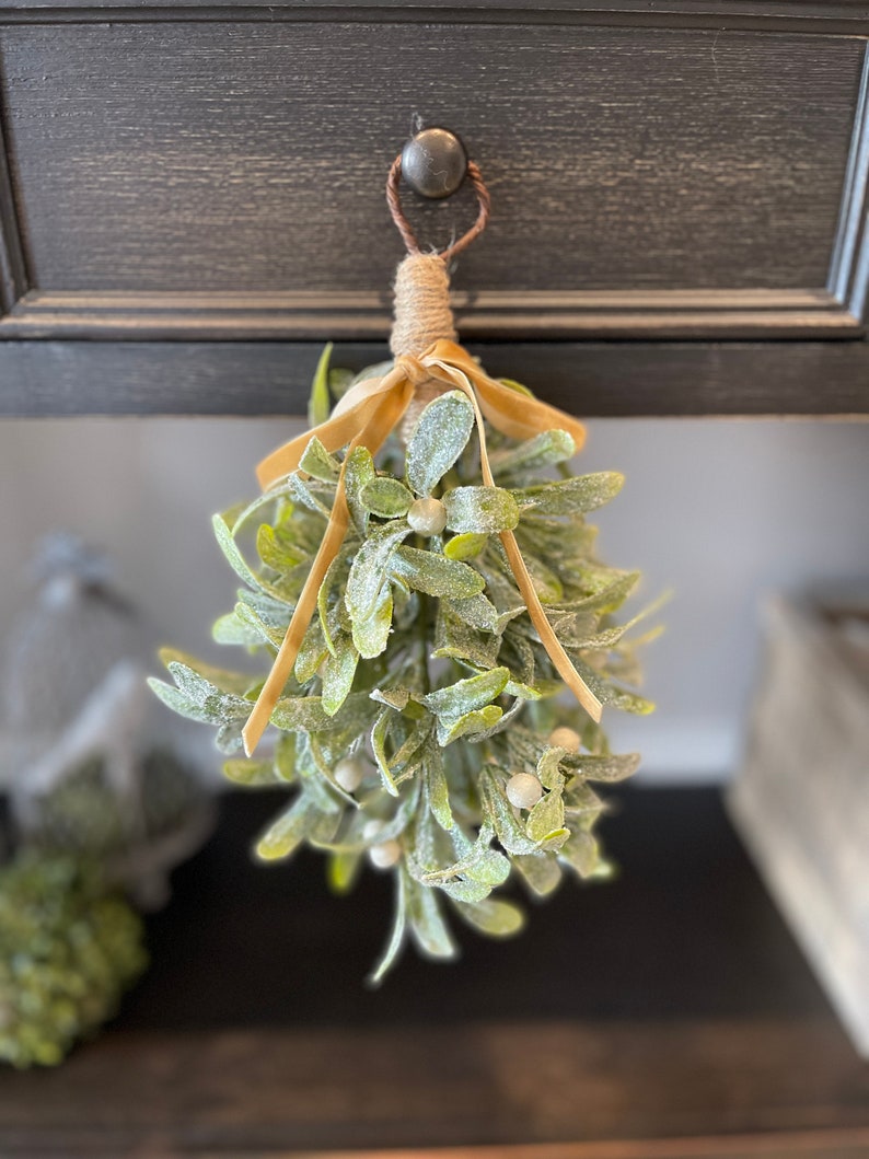 Hanging Mistletoe Bundle, Frosted Mistletoe with White Berries, Winter and Holiday Home Decor Khaki