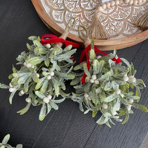 Hanging Mistletoe Bundle, Frosted Mistletoe with White Berries, Winter and Holiday Home Decor image 4