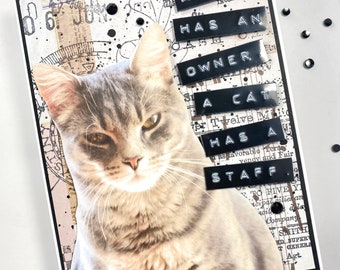Cat Card, Funny, Cats are Better Than Dogs, Snarky Cat, Sassy Cat, Funny Cat Card, Cat Owner, Greeting Card, Hilarious, Cat Lover, Sarcastic
