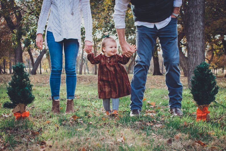 kinsey dress in metallic burgundy plaid; baby/'s first birthday outfit; toddler girl clothes; newborn; vintage inspired dress; red; green