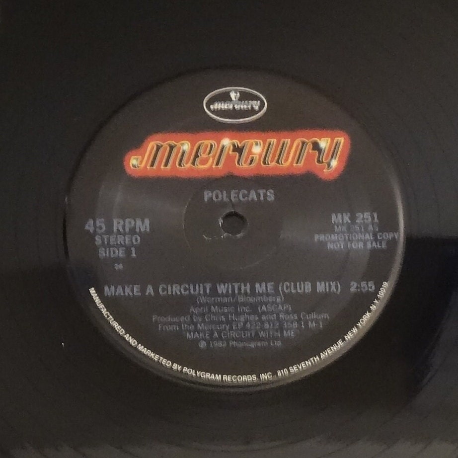 Polecats Make A Circuit With Me LP ネオロカ Polecats – Make A Circuit With Me / Rockabilly Dub - Etsy