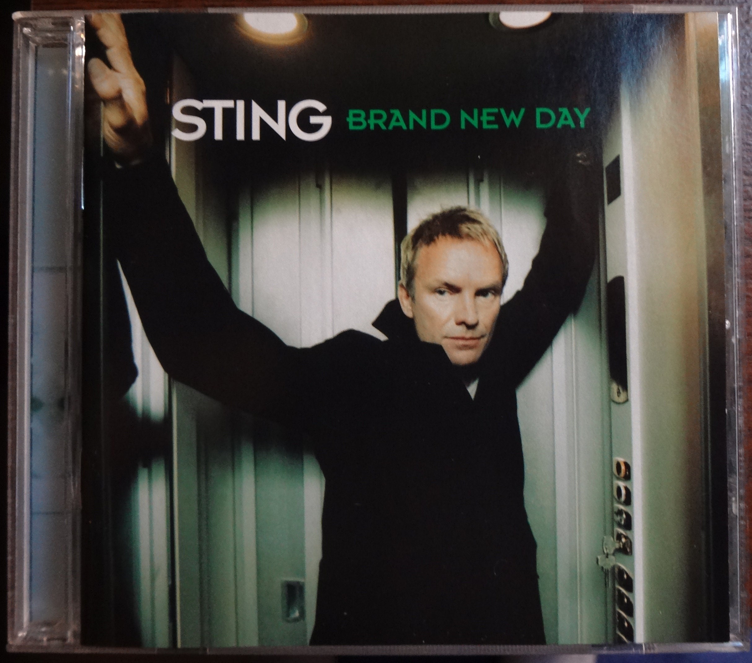 STING BRAND NEW DAY Tシャツ Mサイズ il_340x270.4966337399_pfhm.jpg