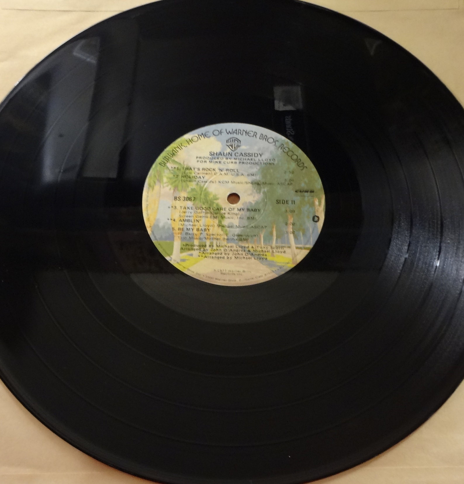 Shaun Cassidy Shaun Cassidy - Etsy