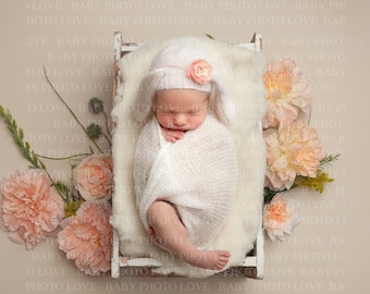 Newborn Digital Backdrop, Floral, Cream Fluff, Photography Newborn Insert, Digital Download