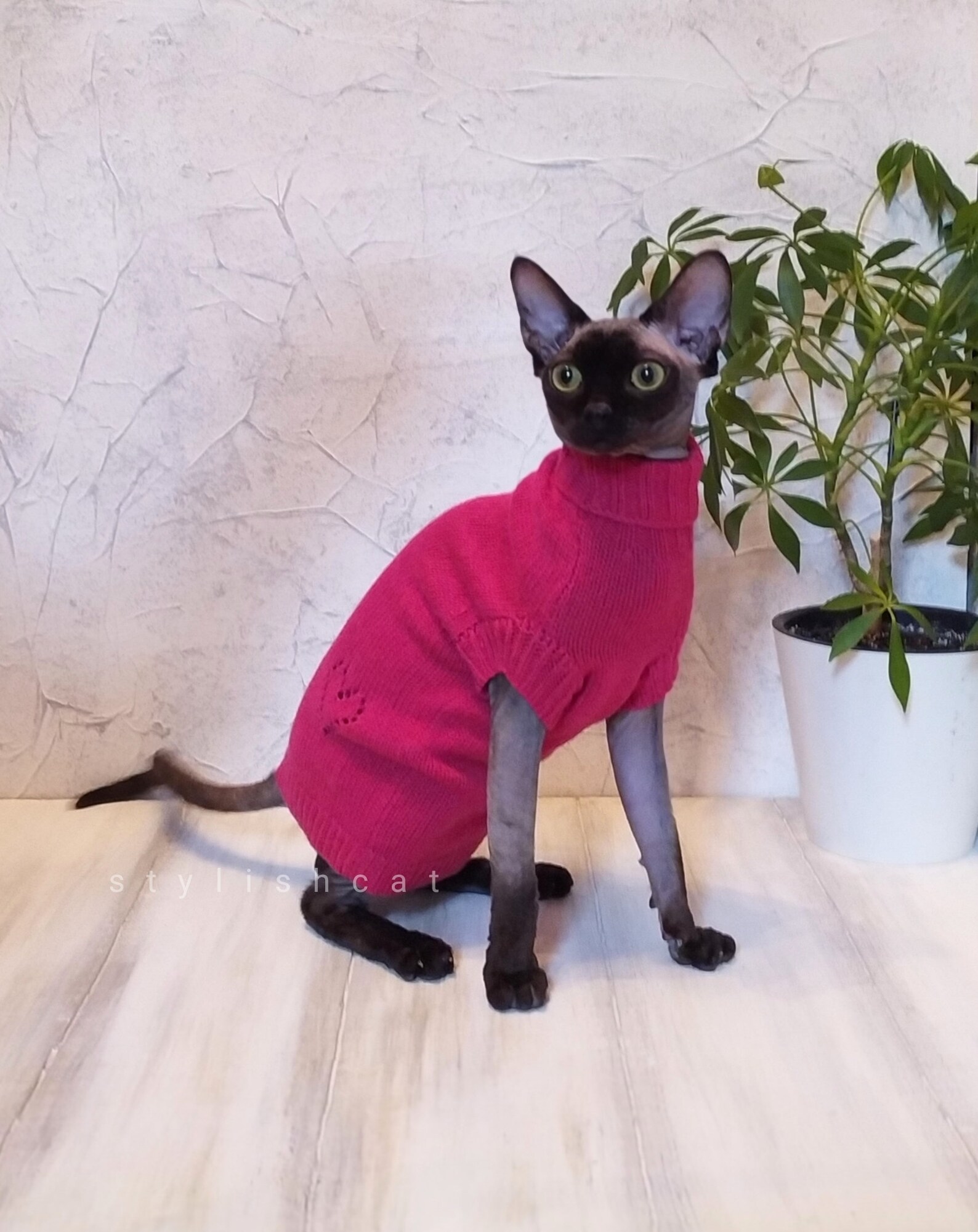 Warm cat clothing cat sweater Cornish rex sweater devon rex Etsy