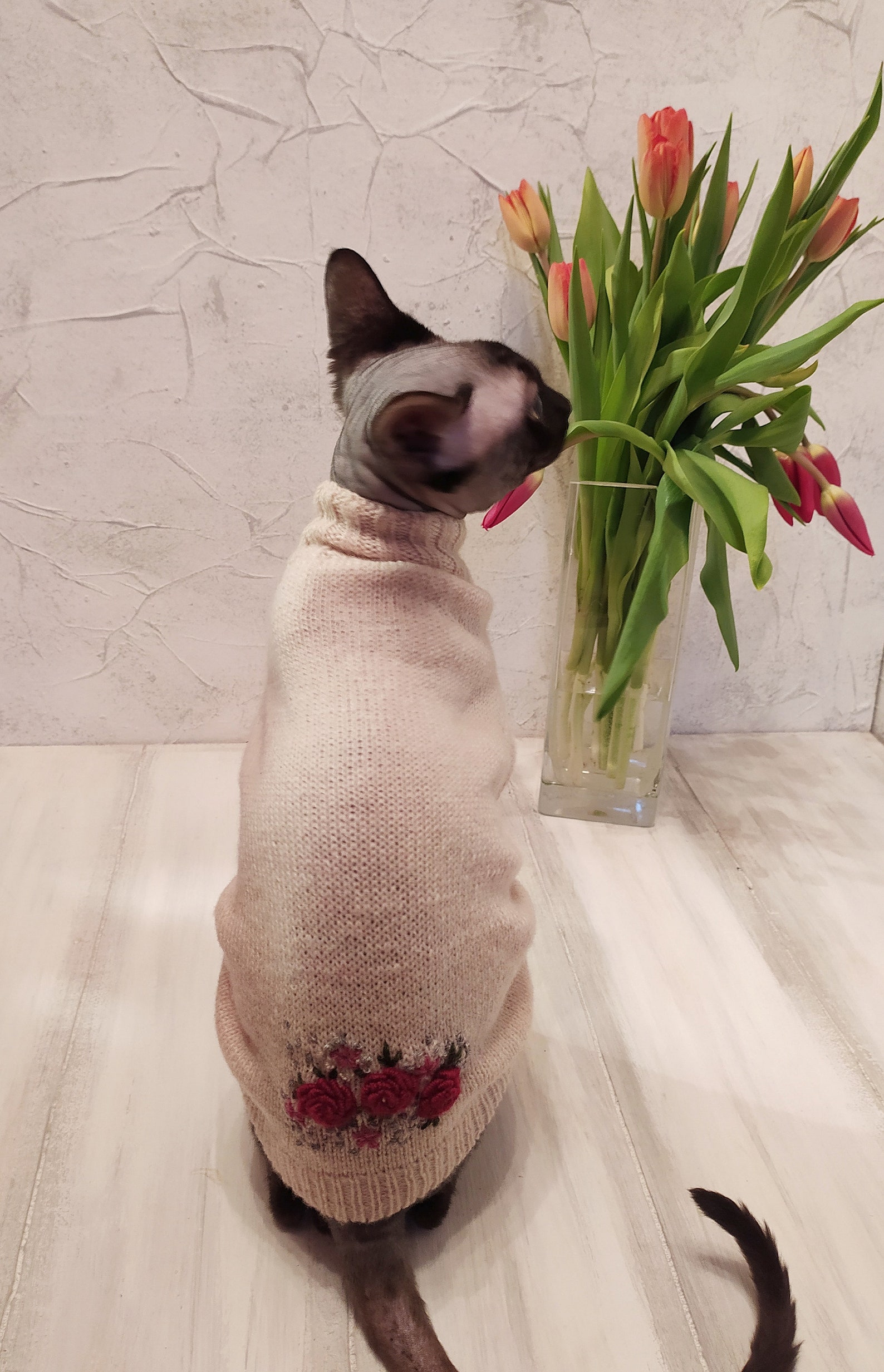 Clothing for catsclothes for catsa sweater for the Cornish Etsy