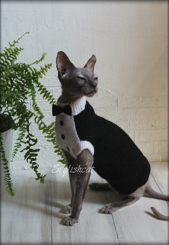devon rex sweater