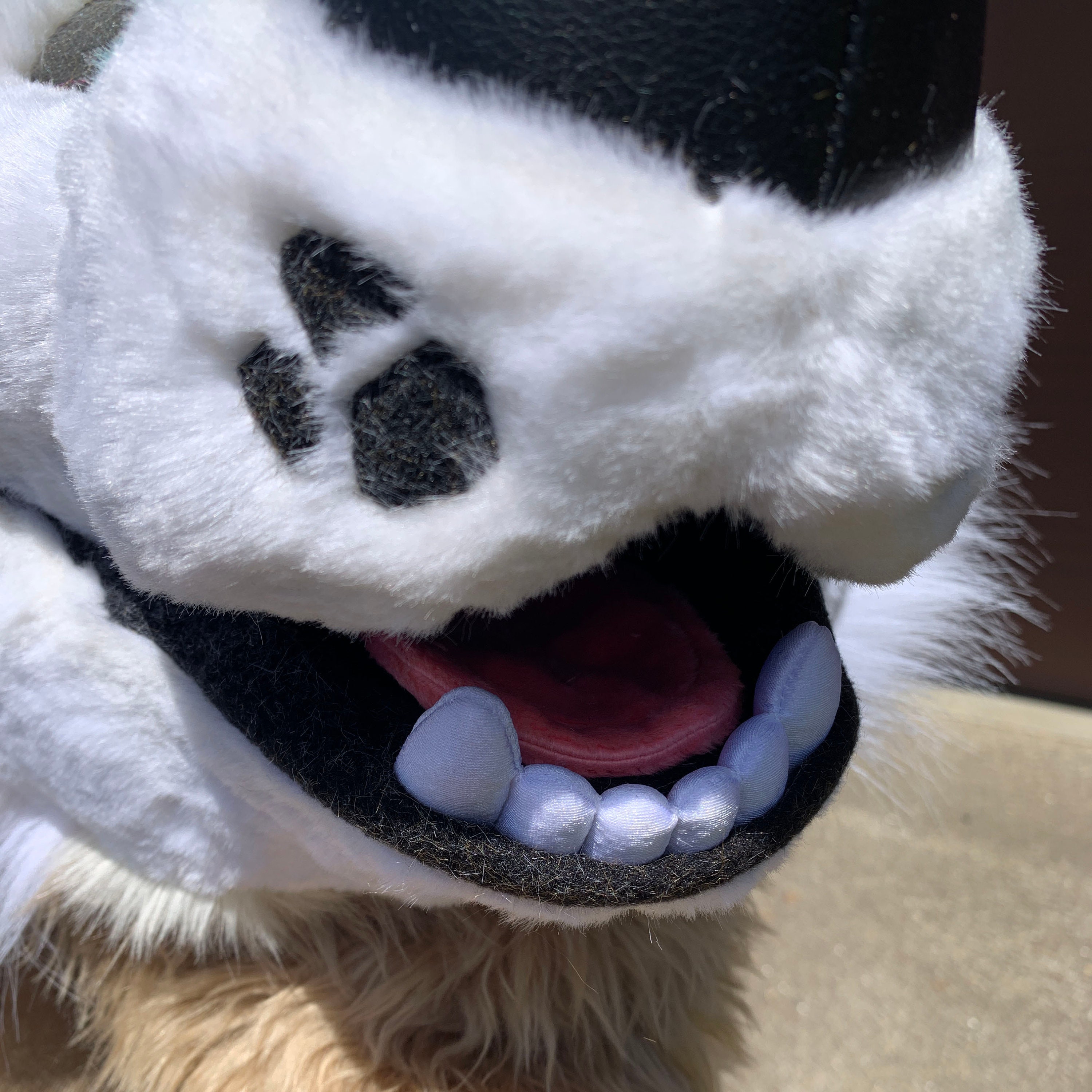 How To Make Fursuit Teeth Handmade Fursuit Teeth - Etsy Singapore