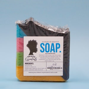 Soap Bar, natural handmade Vegan bar, moisturizing, Eucalyptus Spearmint and Charcoal Detox bar for face and body