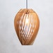 see more listings in the Pendant Lamps section