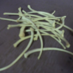 May include: A pile of small, off-white, curved bone fragments. The bones are arranged in a haphazard manner, with some overlapping. The background is a dark, neutral color, providing contrast to the bones.