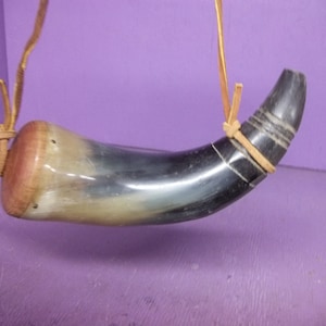 real black powder cow horn for your shotgun rifle pistol muzzle loading horn