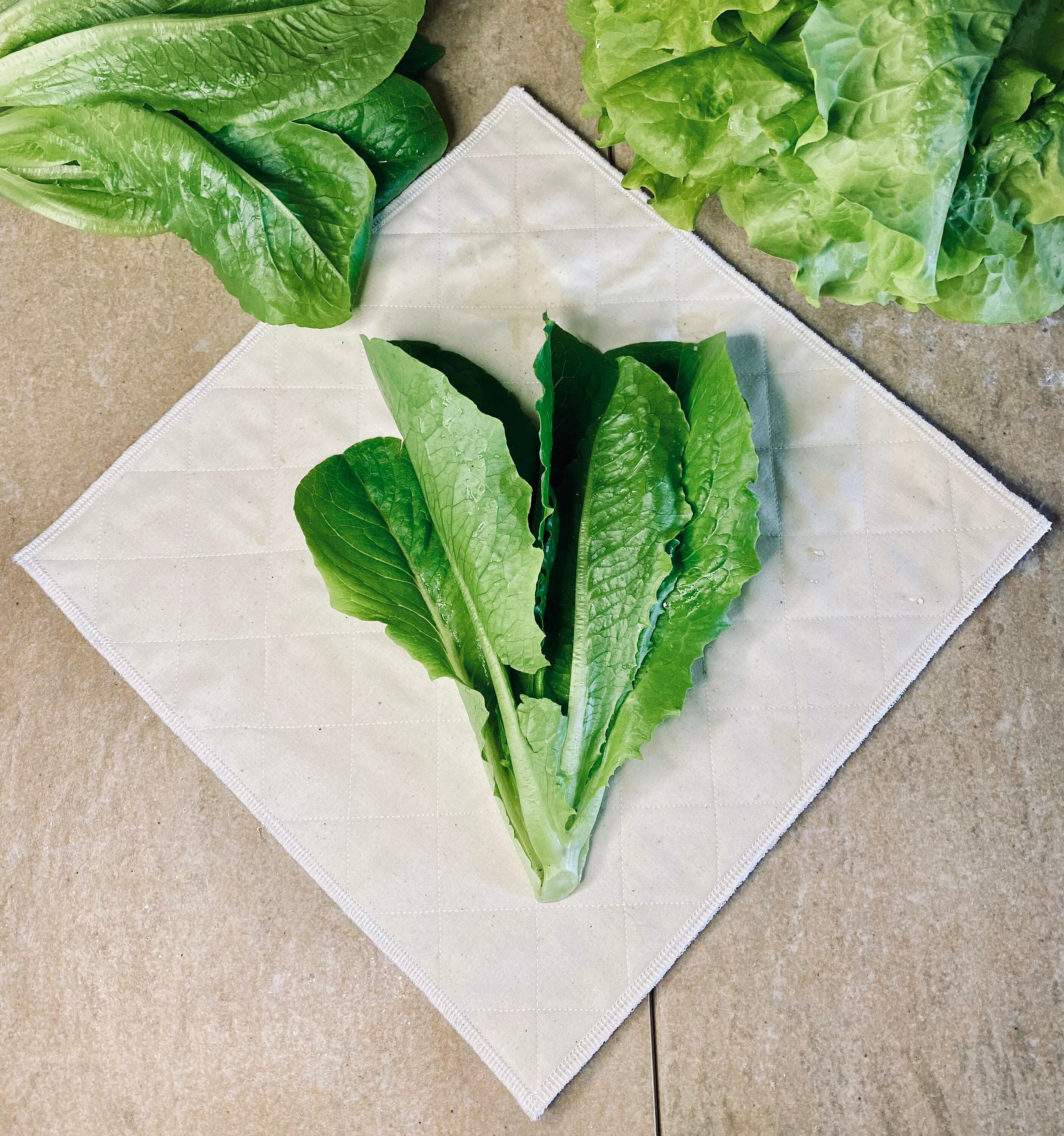 Éponge De Cuisson Éponge Au Bacon Lavable Sans Papier - Etsy Canada