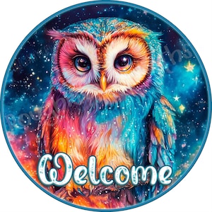 Owl Wreath Sign, Owl Sign, Rainbow Owl Wreath Sign, Cute Owl Sign, Aluminum Sign for Wreath Making, Colorful Owl Sign