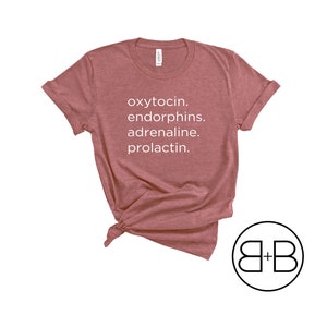 Hormones Shirt - Doula Apparel - Birth Worker Shirt - Midwife Shirt - Childbirth Educator Shirt - Gift