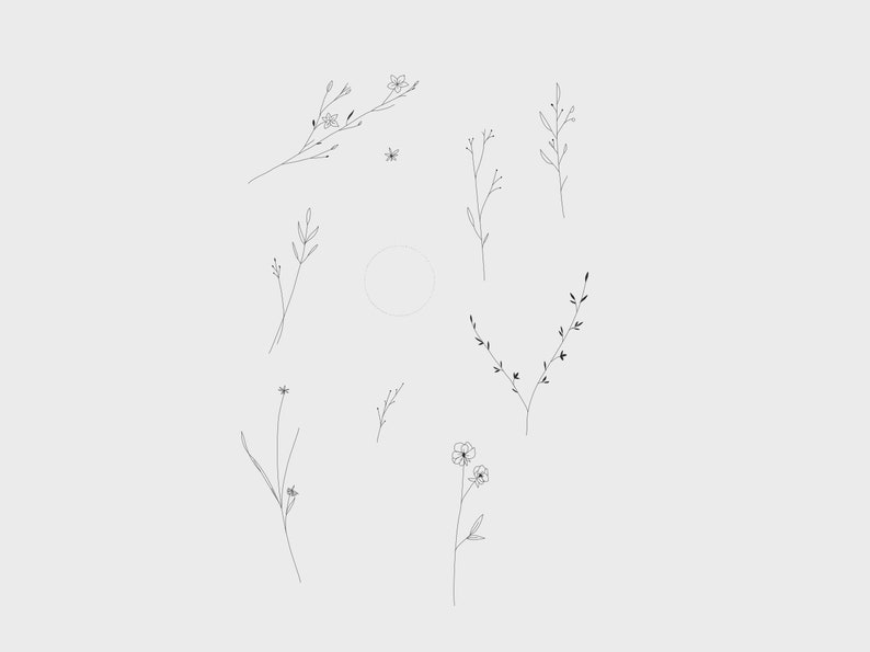 Goodnotes stickers in PNG - Botanic Plant Flower Sketch