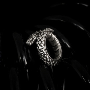 Könnte beinhalten: Ein silberner Schlangenring mit einem detaillierten, strukturierten Design. Die Schlange ist um den Ringband gewickelt, mit dem Kopf nach vorne gerichtet.