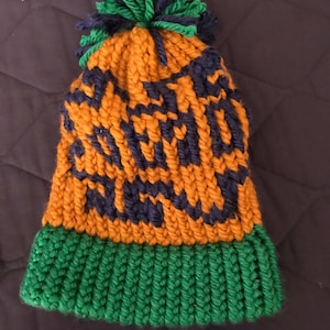 College Team Knit Hat/ NFL Team Knit Hat/ NHL Team Knit Hat/ Personalized Knit Hat