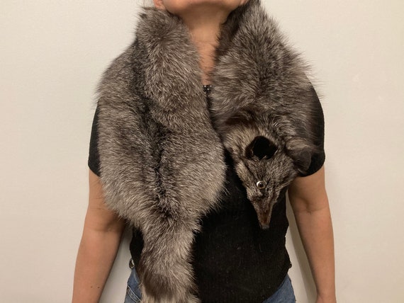 fox in scarf