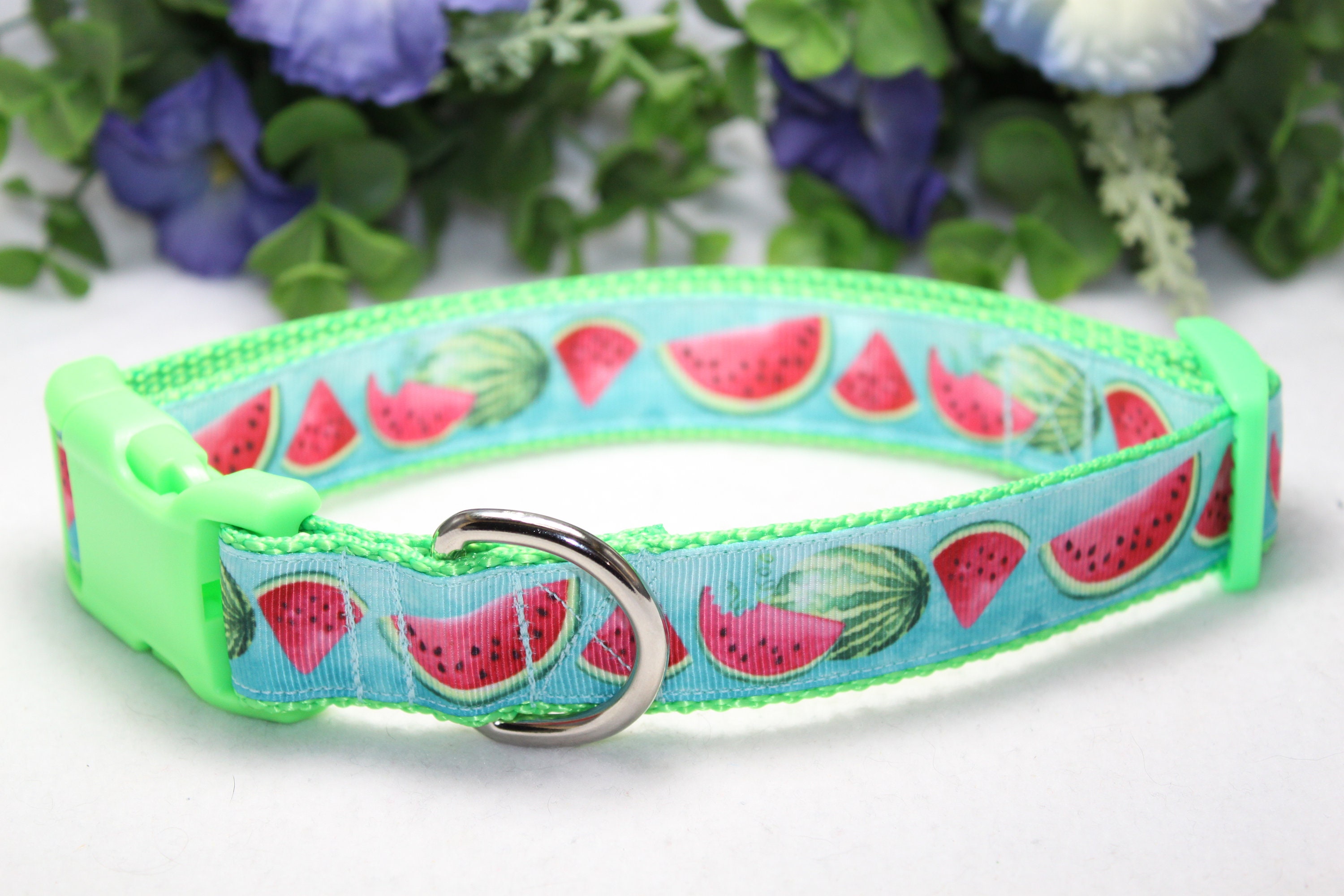 Large Adjustable Watermelon Dog Collar Spring Dog Collar Etsy