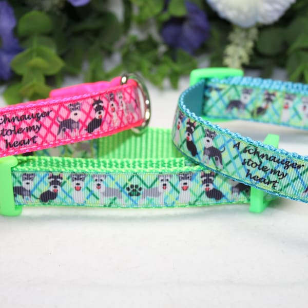 Adjustable Dog Collar/ Medium and Small Dog collar/ Schnauzer collar/ Girly Dog Collar/ Boy Dog Collar/