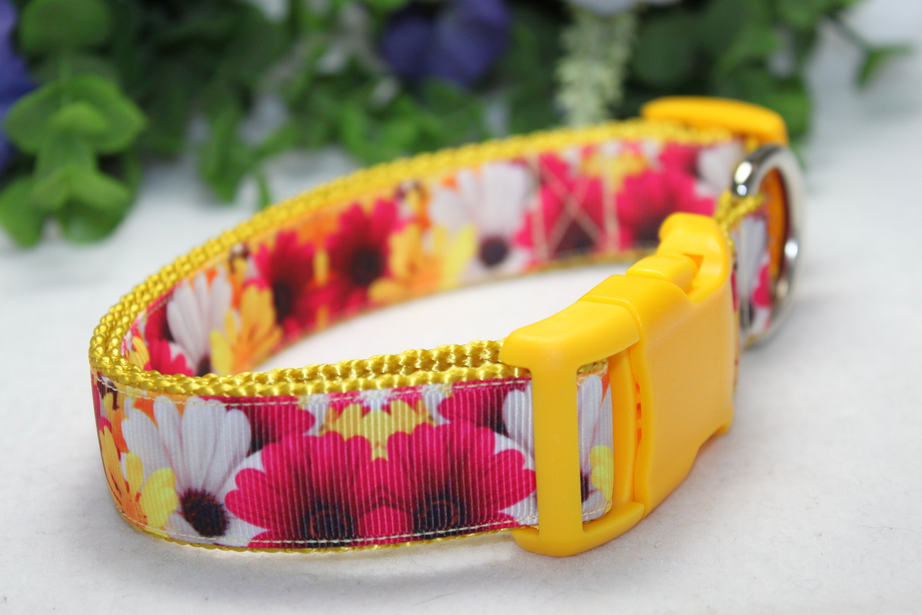 Adjustable Daisy Dog Collar /large Medium Small Dog Etsy