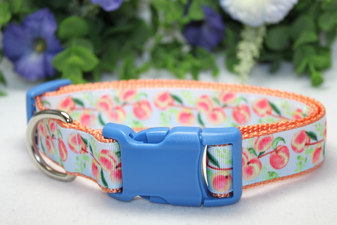 Large Adjustable Coral Peaches Dog Collar Spring Dog Collar Etsy