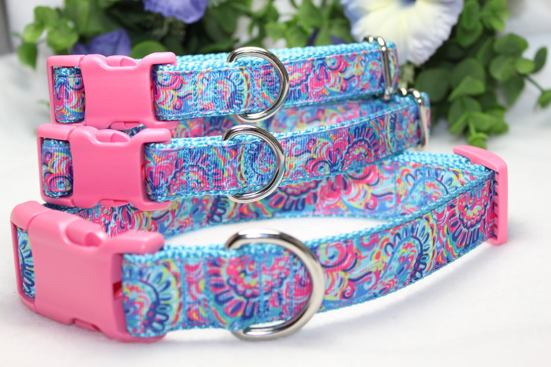 Adjustable Paisley Dog Collar Available in 4 Sizes/ Pink and Teal