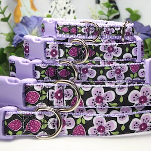 Adjustable Purple Rose Dog Collar/ Large, medium, small dog collar/ Purple Rose Dog Collar/ Girl Dog Collar/ Floral Dog Collar