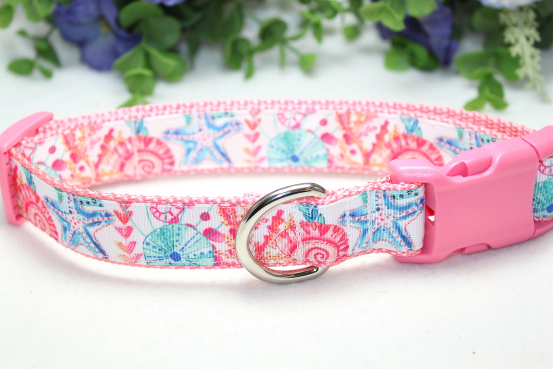 Large Adjustable Beach Dog Collar/ Colorful Seashell Sand Etsy